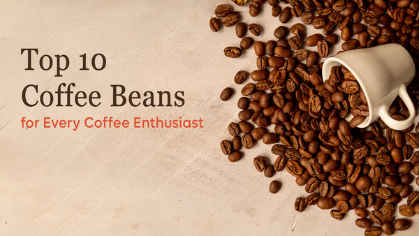 Top 10 Coffee Beans for Every Coffee Enthusiast: A Flavourful Guide