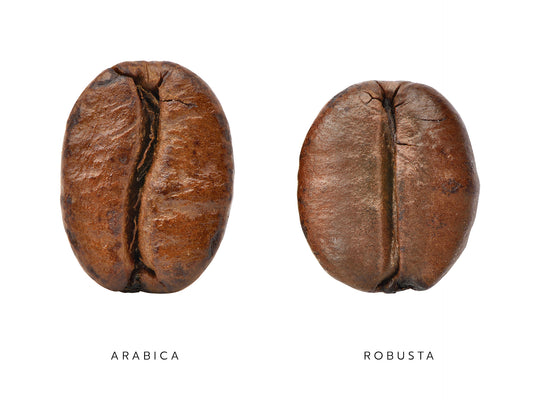 Arabica Vs Robusta- Take Your Pick Wisely